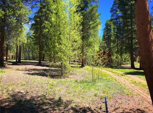 1942 Spring Cir, Leadville, CO 80461