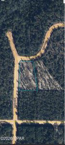 LOT 9 Empire Ave, Alford, FL, 32420