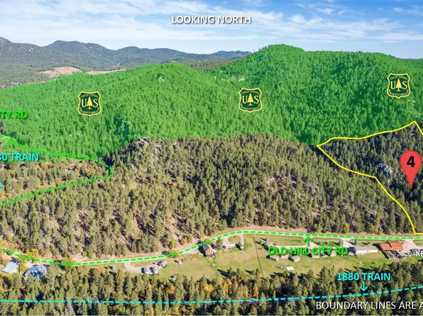 4 Old Hill City City Rd, Keystone, SD 57751