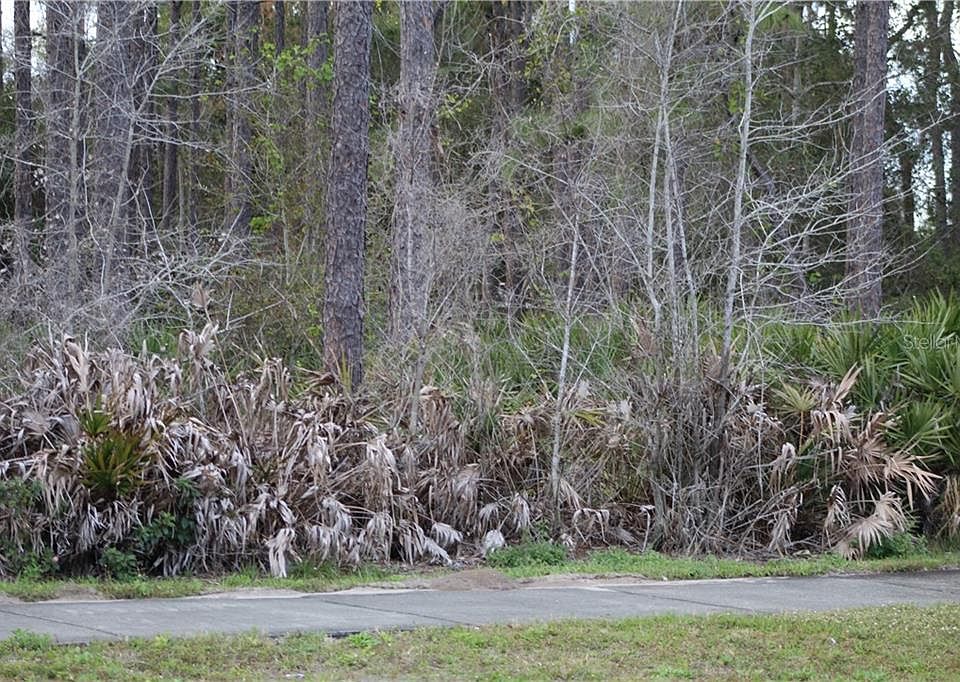 2nd image of 976 S Econlockhatchee Trl
