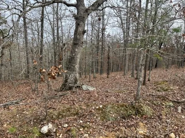 (undisclosed Address), Pindall, AR 72669