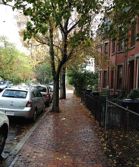 108 Magazine St #2 — Photo 2