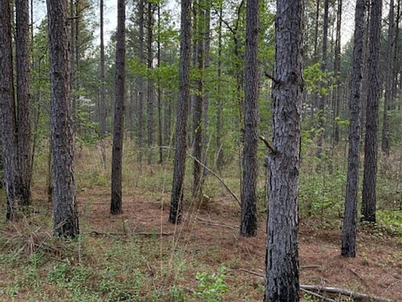 3rd image of 0 Spencer Point Rd