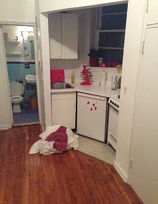 Rented by Eric Goodman Realty Corp | media 20