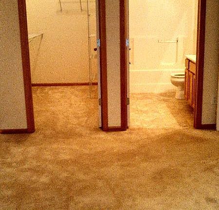 Master Room W/ Bathroom