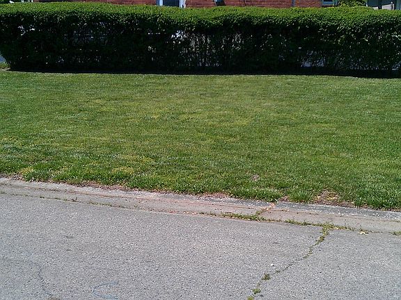 Street view from the side