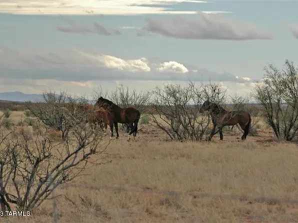 0 N Horvatin Ln #0, Mc Neal, AZ 85617