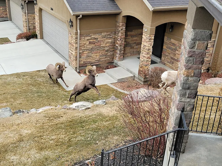 10576 N Sage Vista Ln — Photo 28
