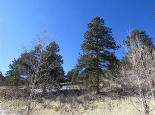 30 Dakota Path, Lake George, CO 80827