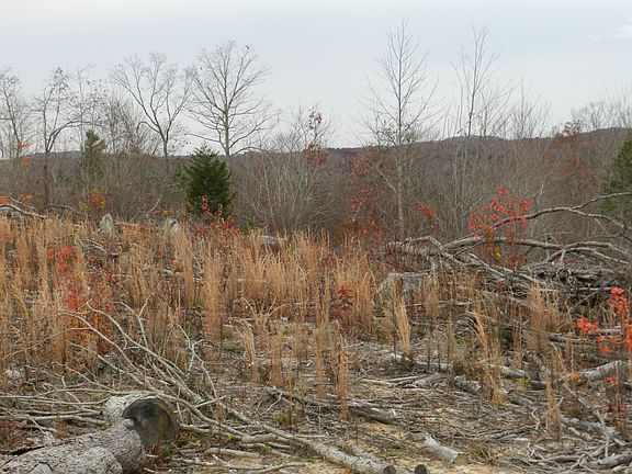 4th image of 0 Staleys Farm Road