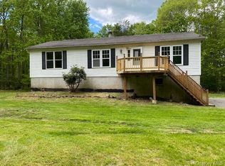 206 Perry Pond Rd, Narrowsburg, NY 12764