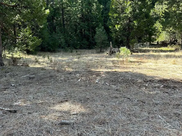 Battle Creek Dr, Shingletown, CA 96088