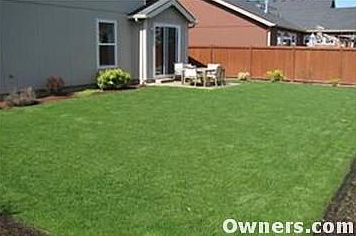 Back Yard Facing House