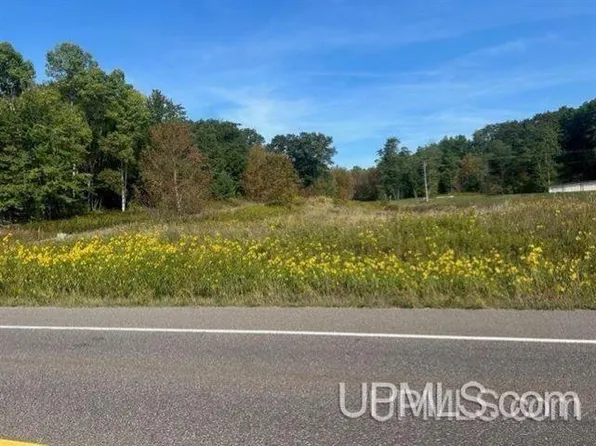 LOT 2 Lake Antoine Rd, Iron Mountain, MI 49801