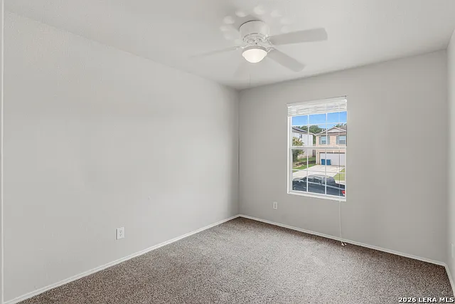 25513 Gold Yarrow — Photo 13