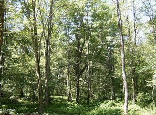 Squirrel Tail Ct, Bushkill, PA 18324