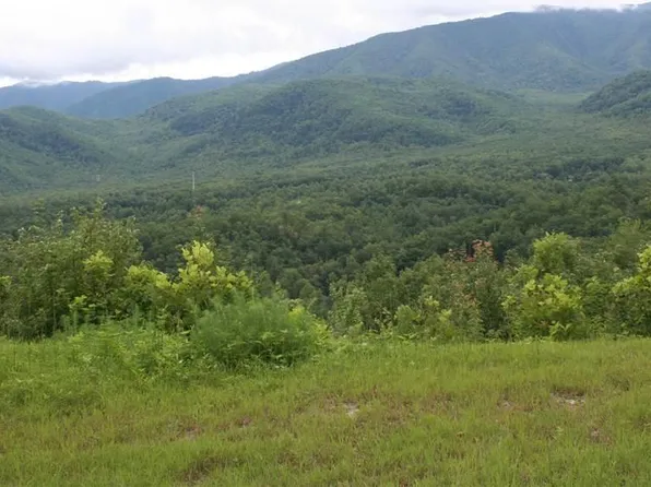 Hot Shot Way, Cosby, TN 37722