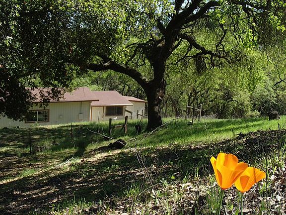 3rd image of 17297 Chesbro Lake Dr