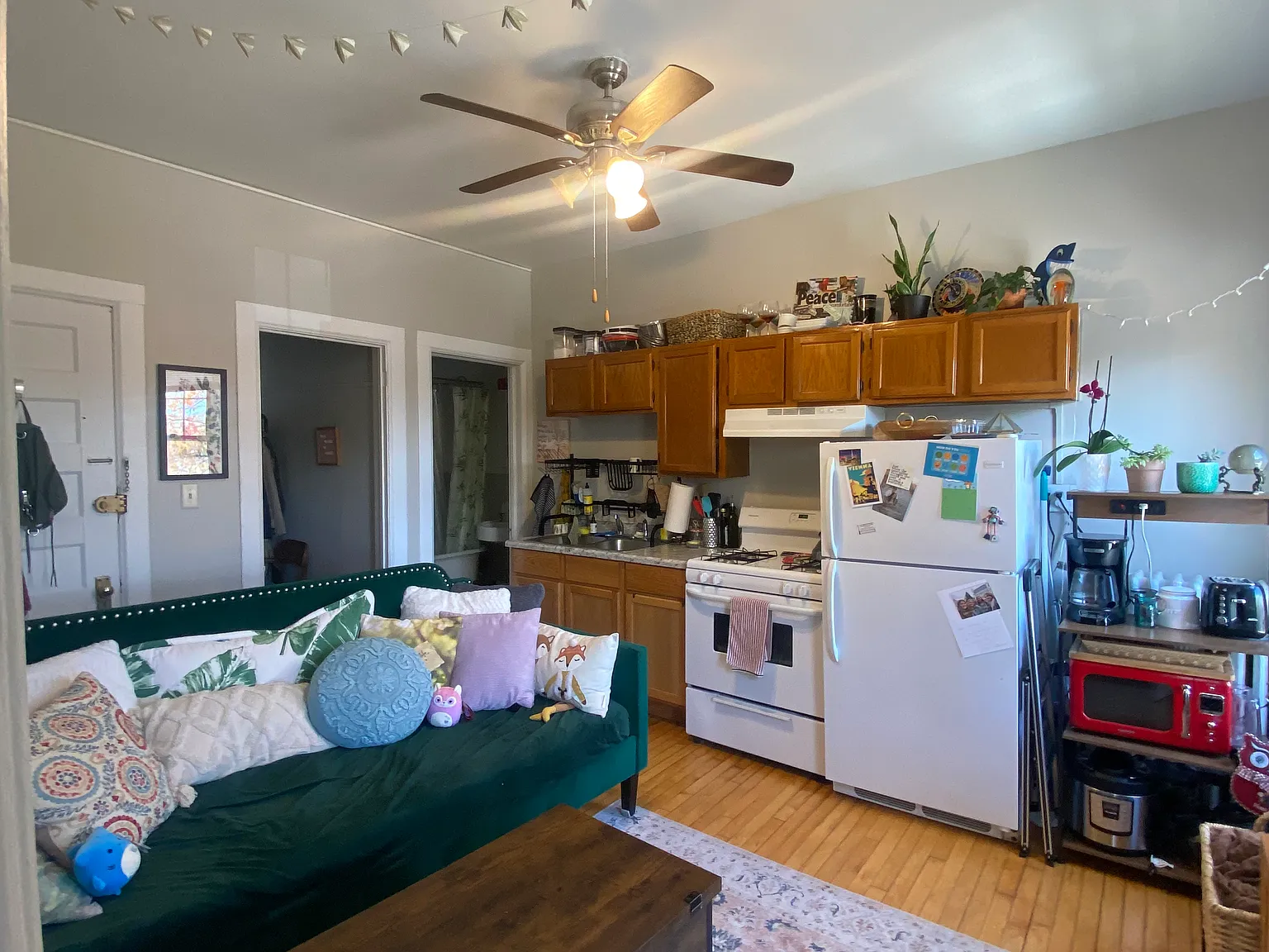 1 bed, $1,129 — Photo 2