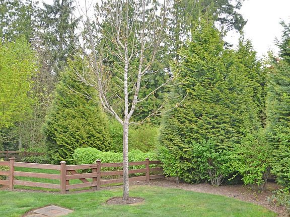 2nd image of 22690 NE Alder Crest Ln