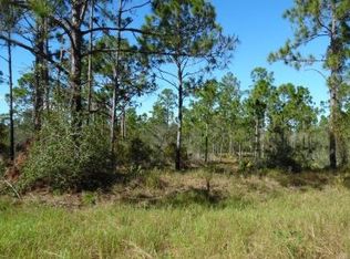 380 Showboat Ave, Lake Placid, FL 33852