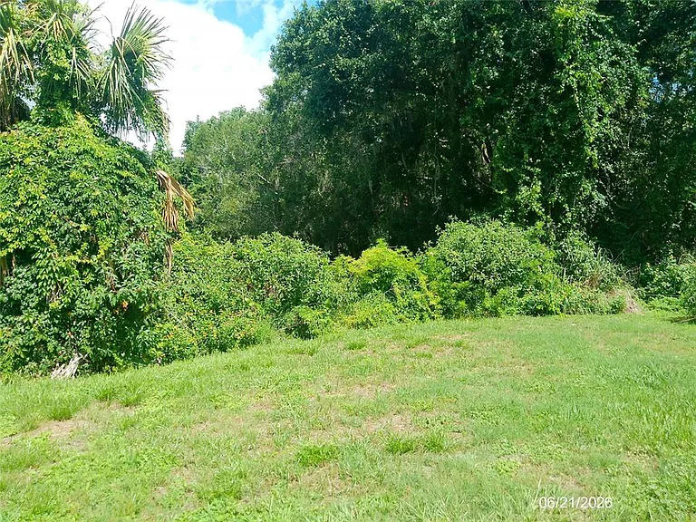 206 Mary Catherine Ct — Photo 23