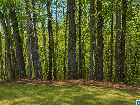 1029 Long Branch Pkwy Lot 112, Calera, AL 35040