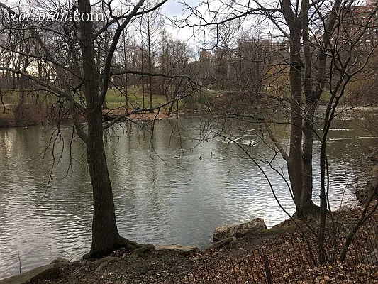 Sold by Corcoran | media 12