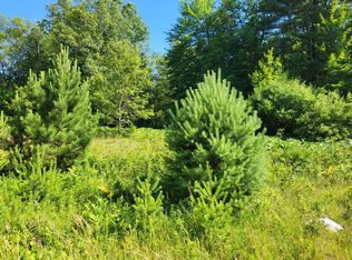 0 Duck Creek Ln, Whitehall, MI 49461