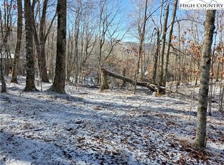 107 Spring Branch Road, Beech Mountain, NC 28604