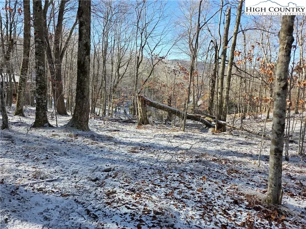 107 Spring Branch Road, Beech Mountain, NC 28604