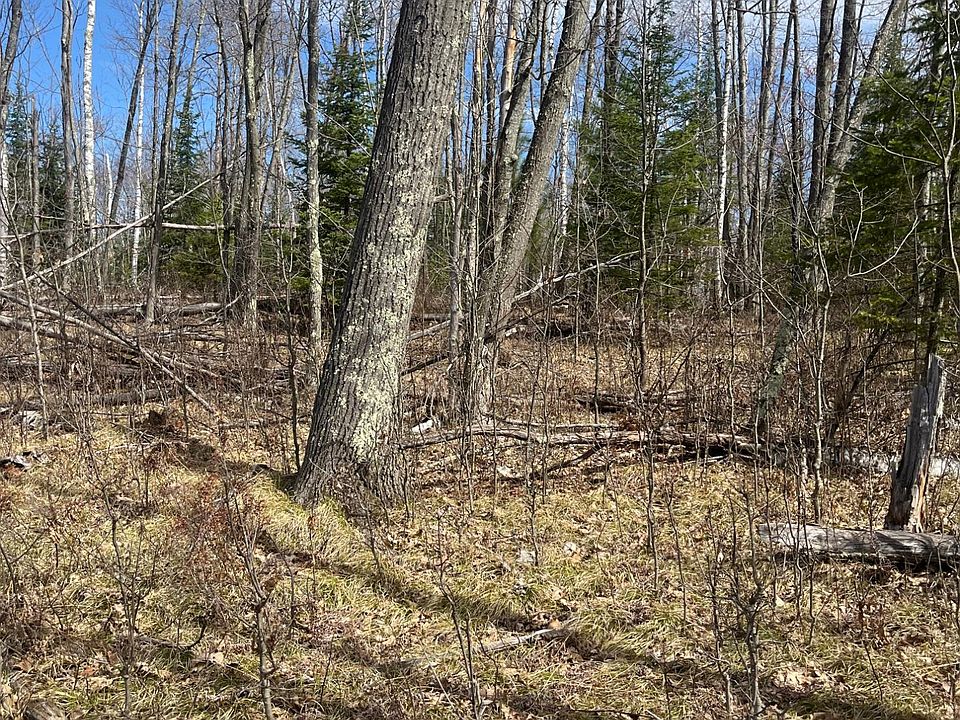 2nd image of On Nature Trl