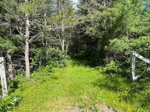 Near Cth S, Conover, WI 54519