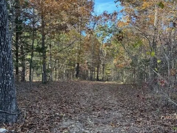 Tbd County Road Ah 272, Vanzant, MO 65768