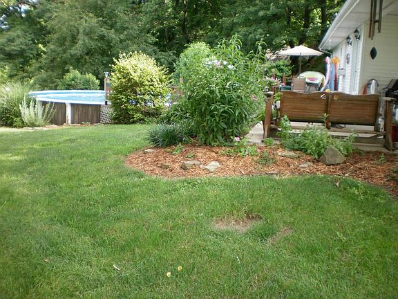 landscaping and rear