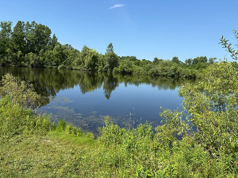 Pond in back of neighborhood