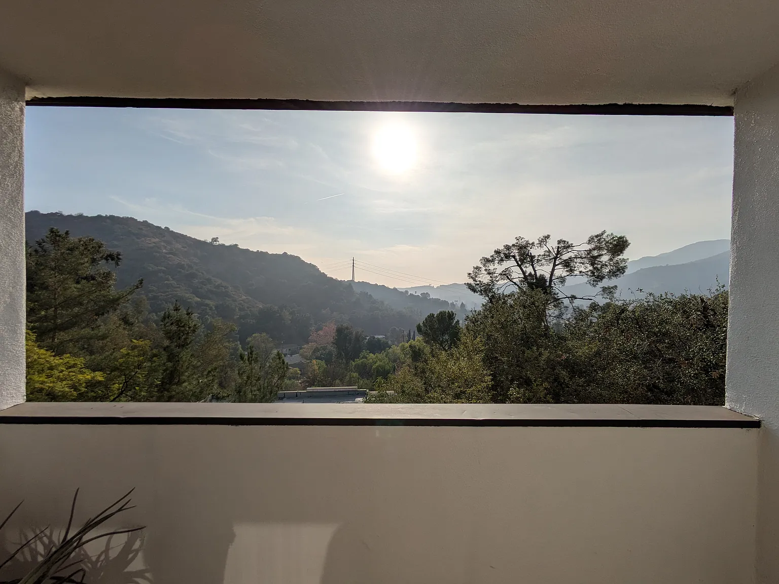 2 bed, 1233 sqft, $3,600 — Photo 3