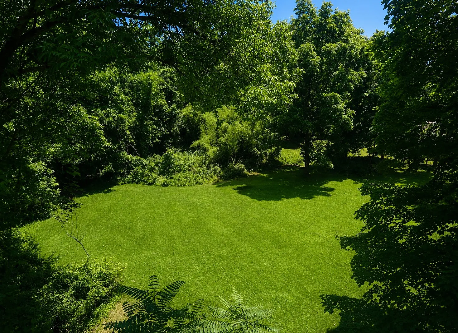 6 bed, 2852 sqft, $5,700 — Photo 3
