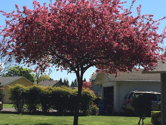 4th image of 8406 NE 140th Ct