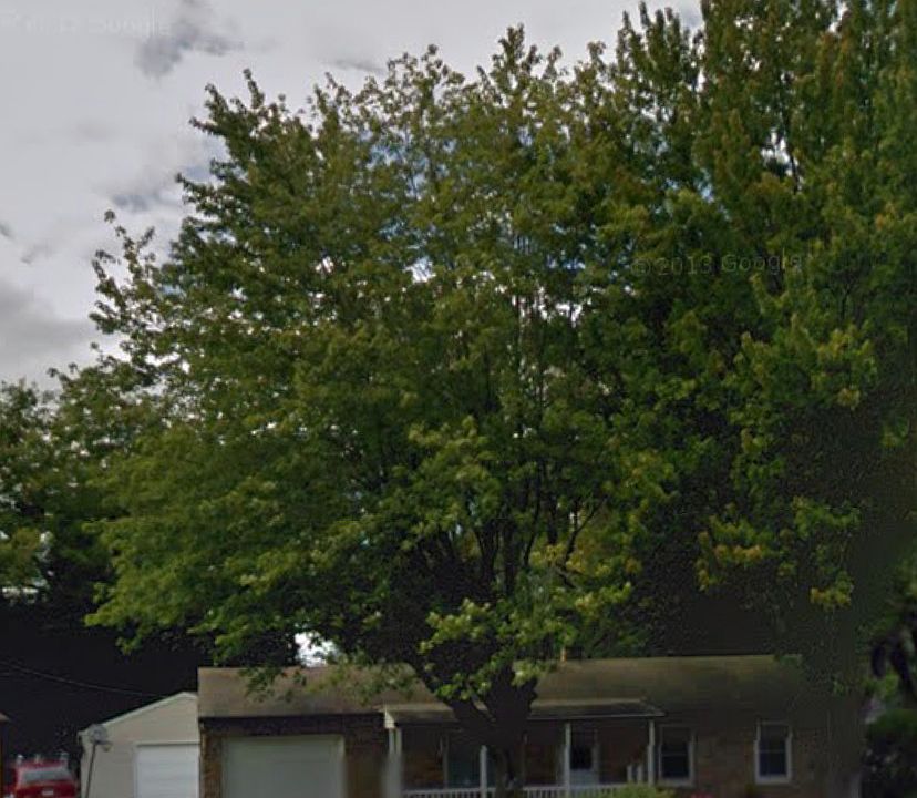 2nd image of 239 Greenbriar St