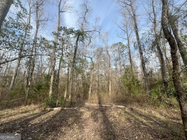 169 S, Salem, AL 36874