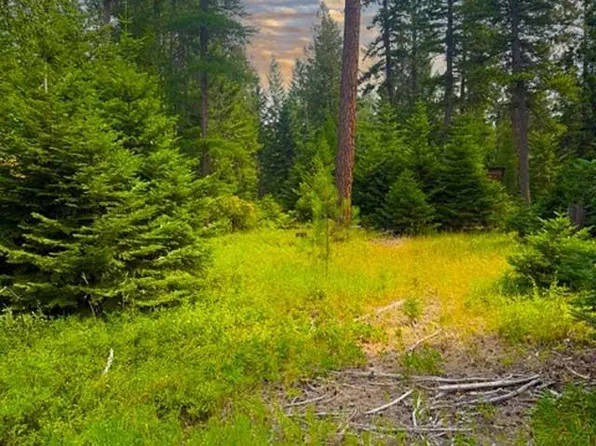 Nna Ginger Ln, Bonners Ferry, ID 83805