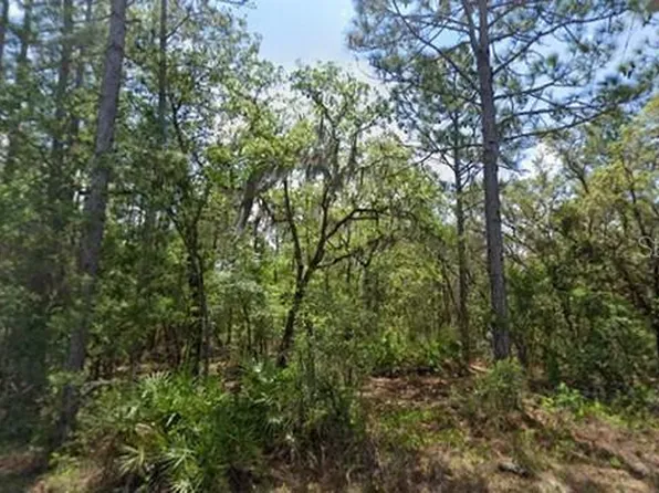 160 Daisy St #34, Homosassa, FL 34446