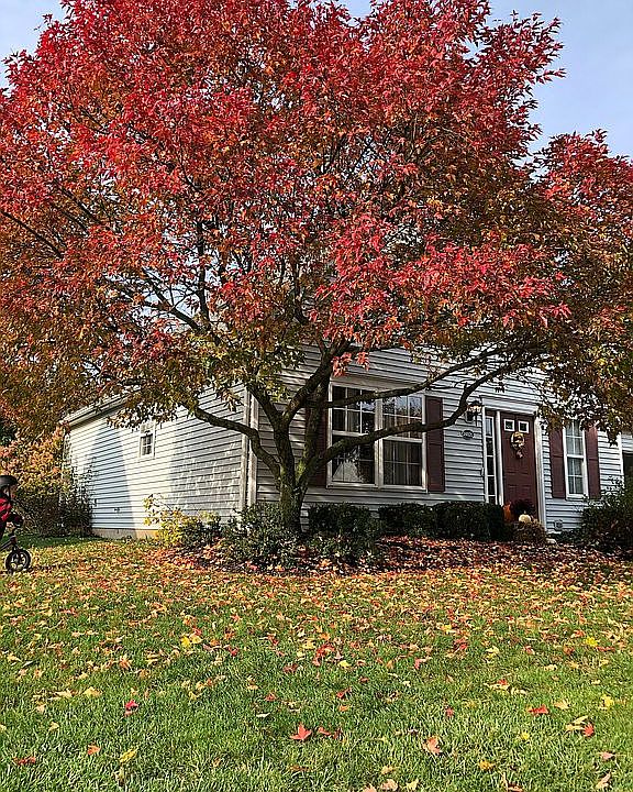 1st image of 24820 Grove Pond Way #64