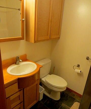 Downstairs bath with shower