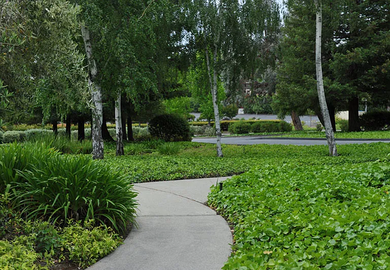 Seven Oaks — Photo 14