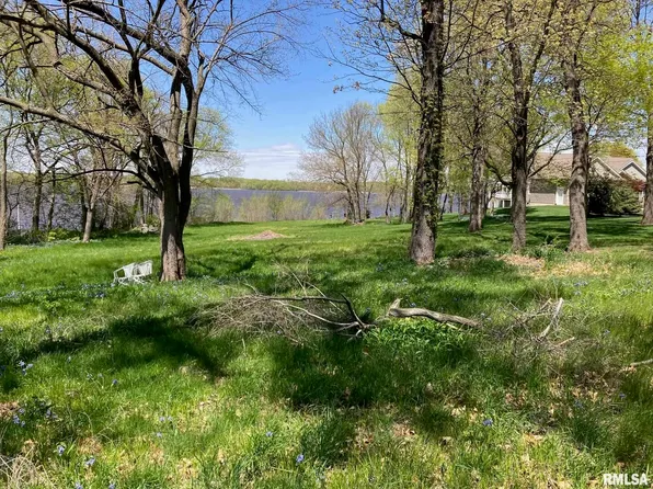 LOT 1 River Rd N, Cordova, IL 61242