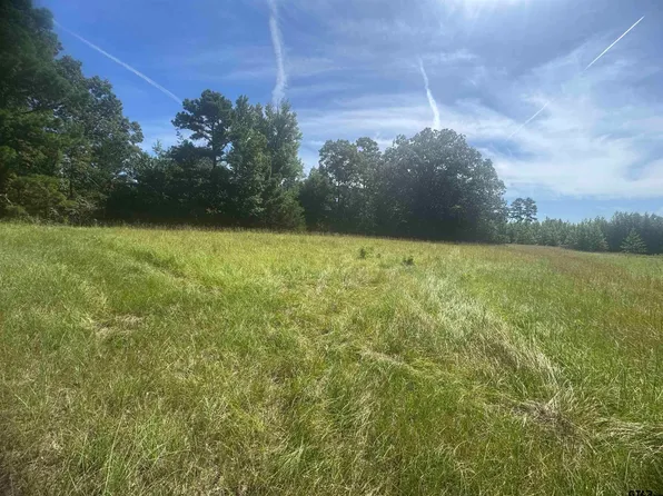 9.695 Ac Cres #4426, Winnsboro, TX 75494