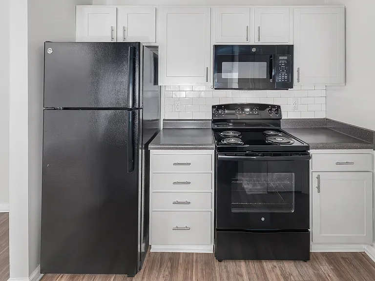 Modern Black Appliance Package - Kitchen - Platinum Interior
