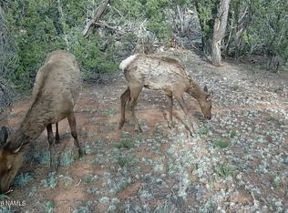 LOT-186A N Bull Run Rd, Williams, AZ 86046